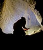 photo thumbnail #15