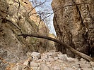 photo thumbnail #14