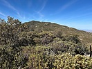photo thumbnail #10