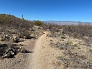 photo thumbnail #15