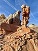 photo thumbnail #15