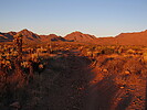 photo thumbnail #3