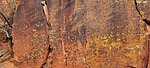 photo thumbnail #3