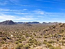 photo thumbnail #14