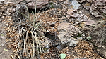 Featured Detail Photo