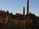 photo thumbnail #3