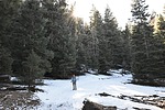 photo thumbnail #4