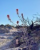 photo thumbnail #7