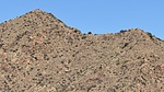 2025-02-23 :2: Lime Peak 3789 - Rover Peak Quad :: LindaAnn