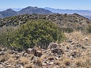2025-02-22 :3: Kane Spring Mountain :: DixieFlyer