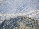 2025-02-23 :2: Lime Peak 3789 - Rover Peak Quad :: John10s