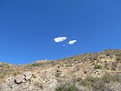 photo thumbnail #15