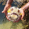 photo thumbnail #9