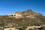 photo thumbnail #4