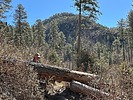 photo thumbnail #3