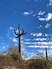 photo thumbnail #7