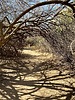 photo thumbnail #14