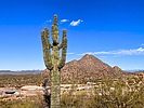 2025-02-26 :1: Circumference Trail - Deem Hills :: kingsnake