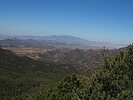 photo thumbnail #12