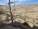 photo thumbnail #10