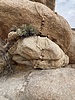 photo thumbnail #14