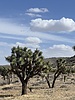 photo thumbnail #11