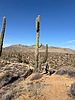 photo thumbnail #4