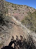 photo thumbnail #2