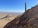 photo thumbnail #5