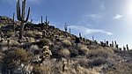 photo thumbnail #7