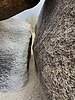 photo thumbnail #5