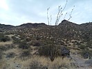 photo thumbnail #4