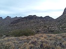 photo thumbnail #2