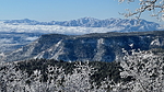 2025-03-08 :3: Rimtop Snowshoe :: chumley