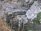 Featured Detail Photo