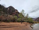 photo thumbnail #12