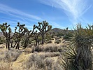 photo thumbnail #2