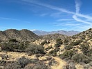 photo thumbnail #5