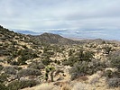 photo thumbnail #2