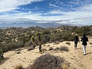 photo thumbnail #4