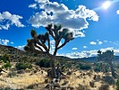 photo thumbnail #7