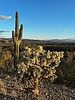 photo thumbnail #4