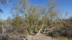 photo thumbnail #5