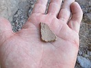 photo thumbnail #15