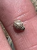 photo thumbnail #12