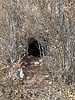 photo thumbnail #5