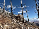 photo thumbnail #12