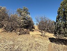 photo thumbnail #6