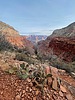 Featured Full Photo