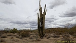 photo thumbnail #7